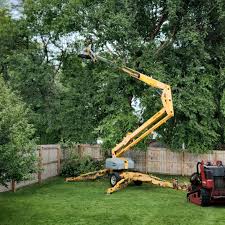 Best Utility Line Clearance  in Marlow Heights, MD