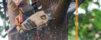 Best Aeration Services  in Marlow Heights, MD